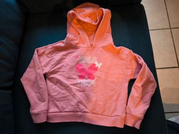 Petit pull rose a capuche