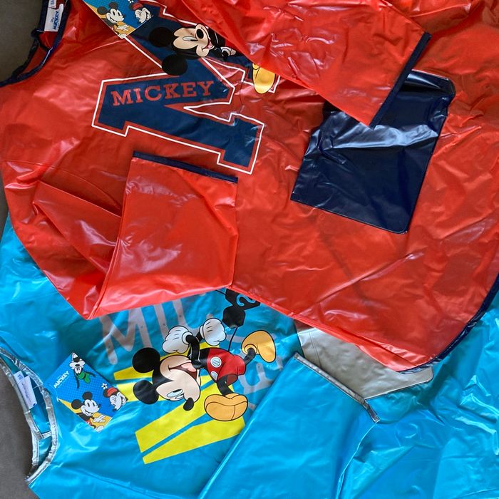 Cape Mickey