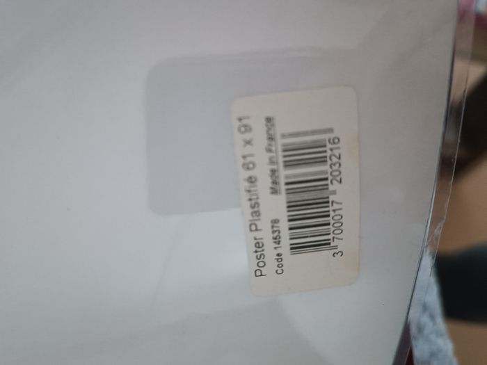 Poster plastifié reine des neiges - photo numéro 2