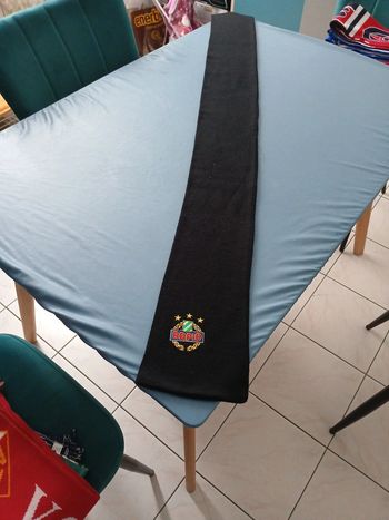 Écharpe foot rapid de vienne wien Autriche osterreich