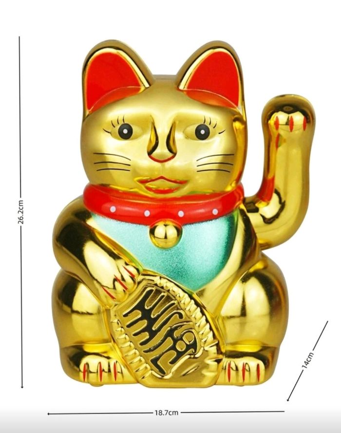 Très grand chat chanceux - photo numéro 2