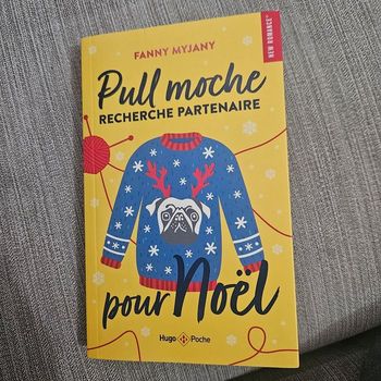 Livre pull moche recherche partenaire pour Noel