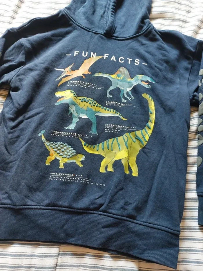 Joli sweat à capuche dinosaures - photo numéro 2