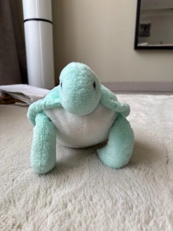 Peluche tortue 🐢