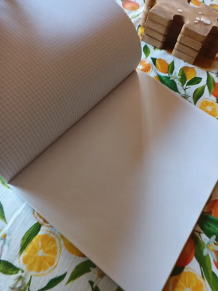 Maxi Cahier de travaux pratiques - photo numéro 5