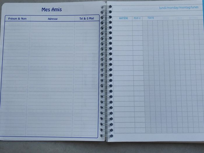 Cahier de texte 2024-2025 (neuf) - photo numéro 3