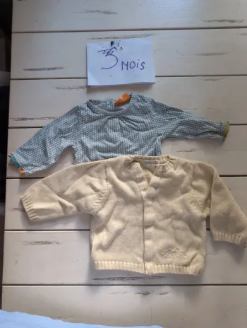Veste et tee shirt bébé fille 3 mois