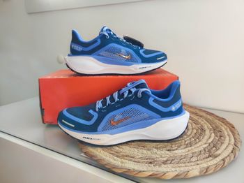 Baskets Nike air zoom Pegasus 41 gore tex