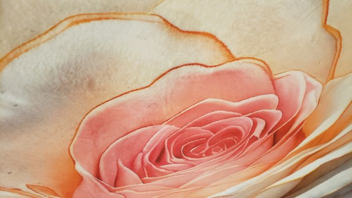 Nouveau Grand Tapis Rond de Luxe 1,2 m - Ultra doux - Motif roses 3D - photo numéro 5