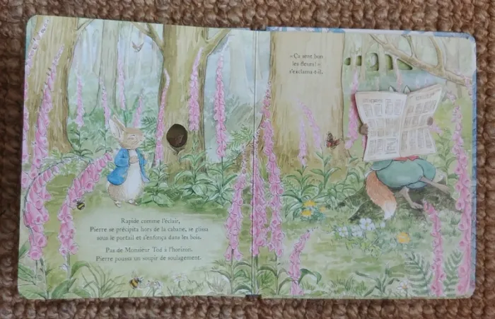 Cours vite, Pierre lapin! (2018) adapté des contes de Beatrix Potter - photo numéro 5