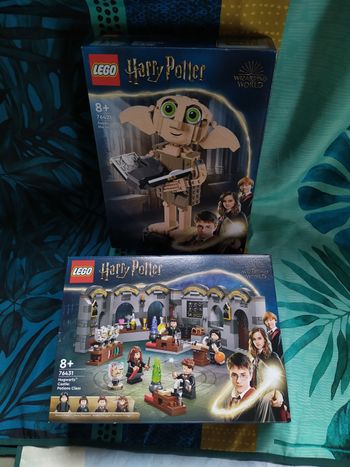 Lego Harry Potter le cours de potions et Dobby