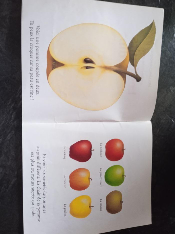Mes livres magiques cache cache avec les fruits du jardin - photo numéro 4