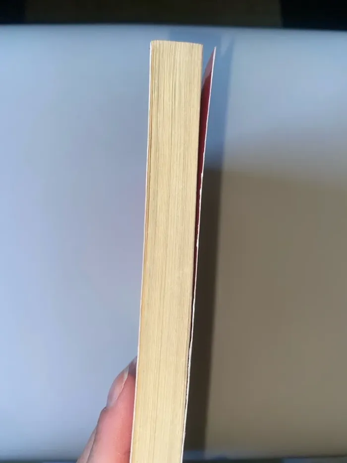 Le carnet d’Allie - photo numéro 4