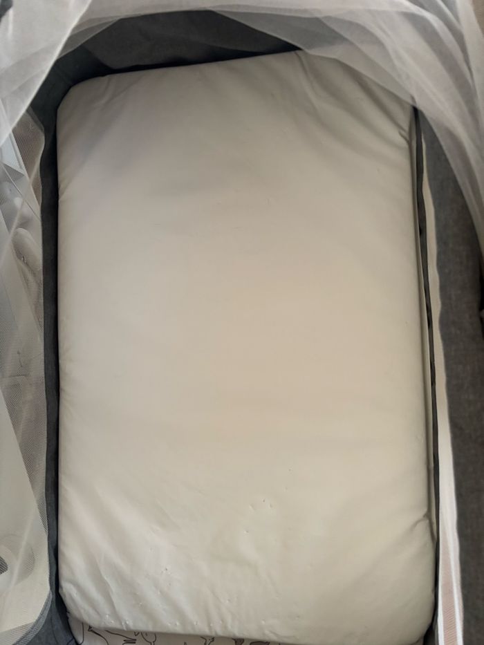 Cododo - photo numéro 8