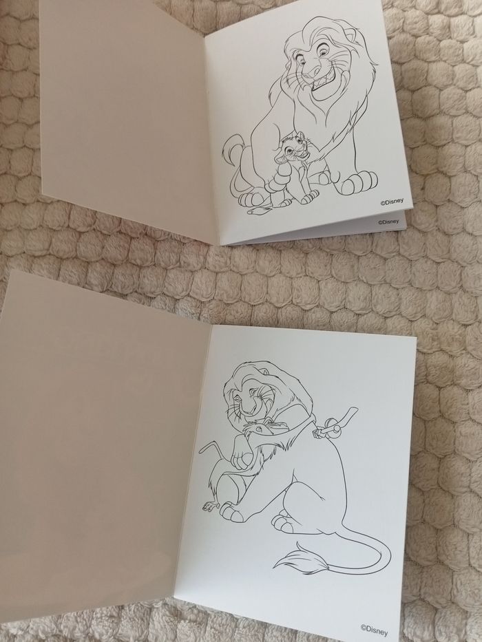 2 petit Livre de coloriage le Roi lion - photo numéro 4