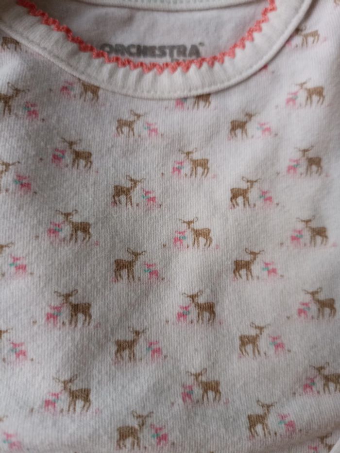 Lot 3 bodies 🦌 T71 - photo numéro 5