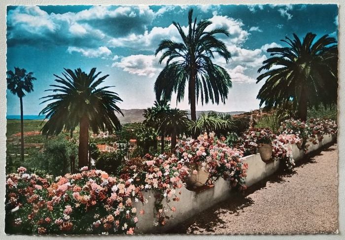 Grande carte postale la côte d'azur et sa végétation luxuriante