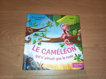 Livre album enfant Mac Do, Le caméléon qui n'aimait que le rose, Éditions Hachette Jeunesse 