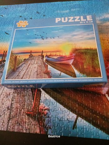 Pulzze 1000 pieces