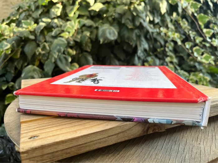 Recueil du Journal Spirou Bd Dupuis - photo numéro 4