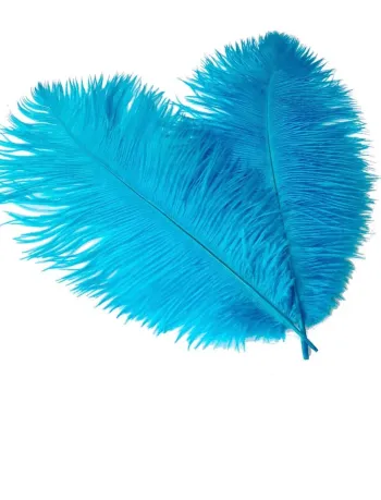 Plumes décoratives Craft & Diy bleu turquoise Neuf