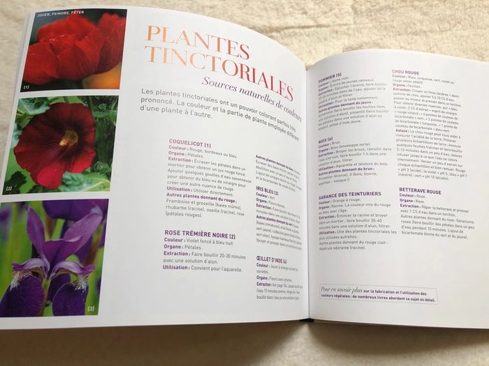 Le jardin avec les enfants - ulmer - photo numéro 7