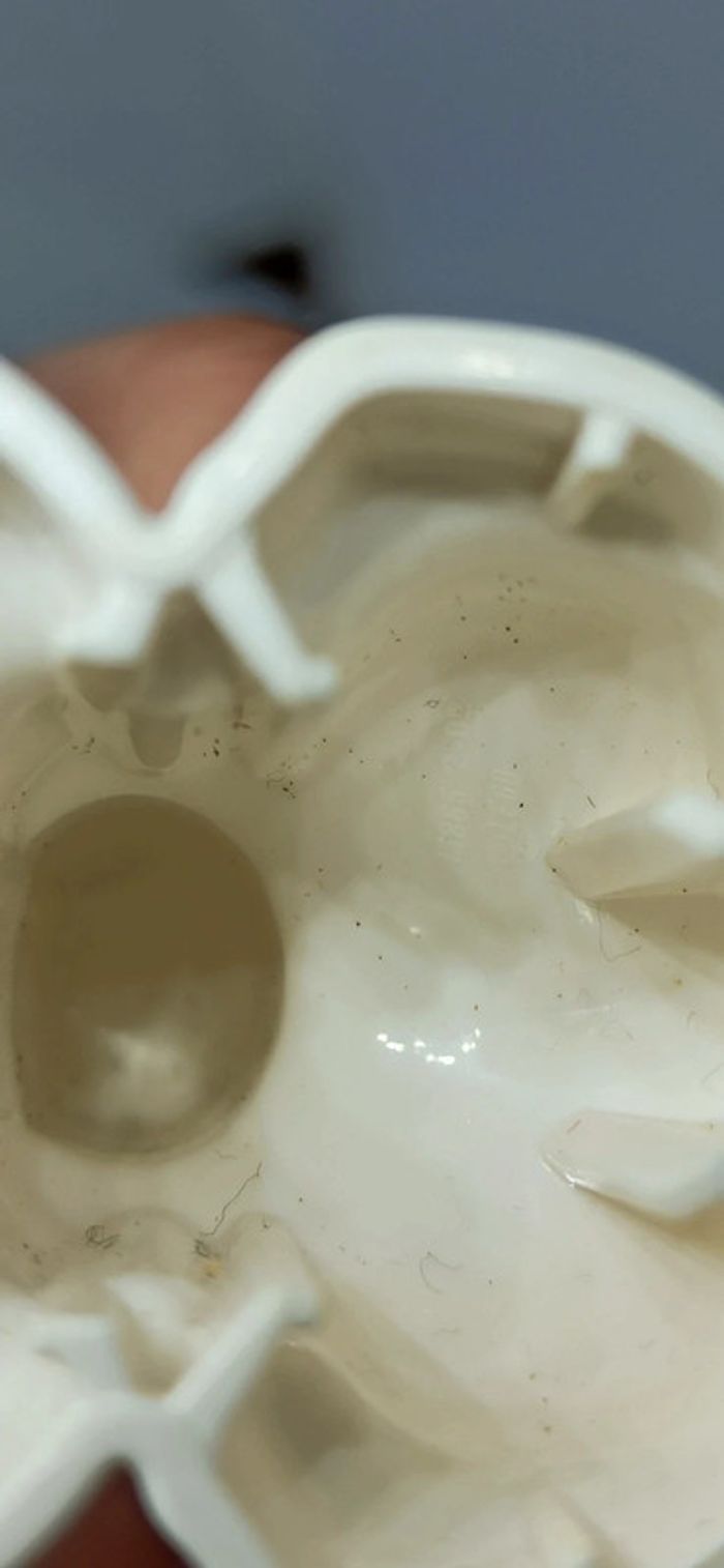 Chat blanc lego duplo - photo numéro 5