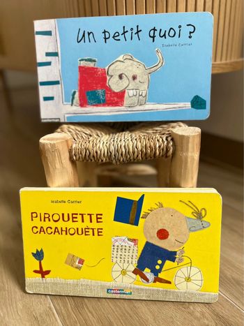 Lot livres Casterman