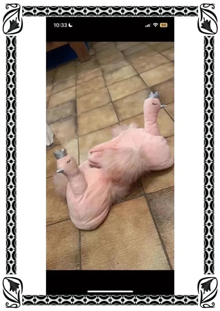Pantoufles