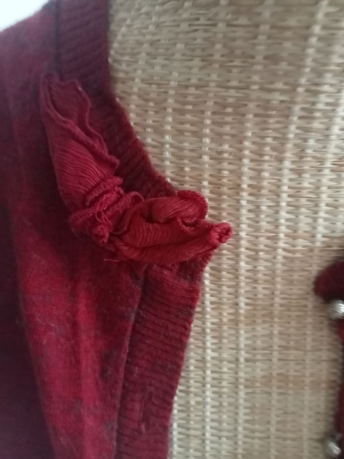 Gilet rouge - photo numéro 4