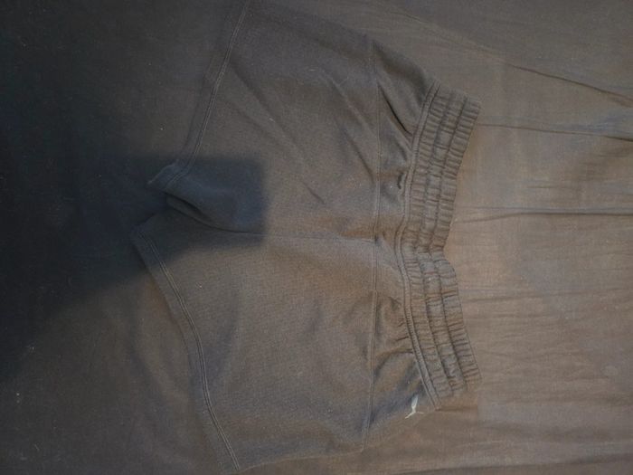 Short puma - photo numéro 2