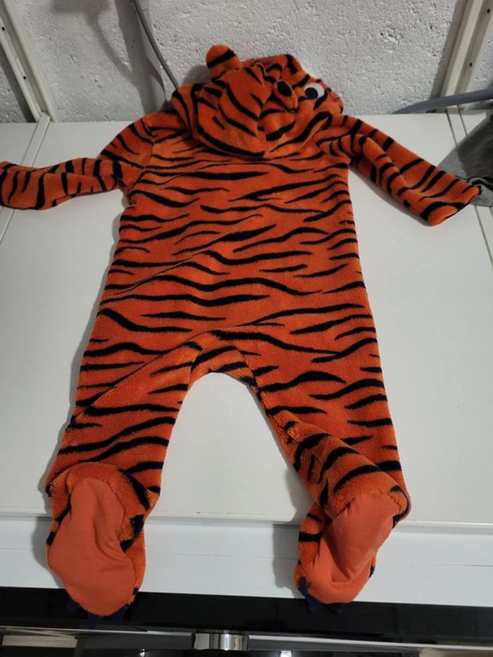 Combinaison tigre - photo numéro 2