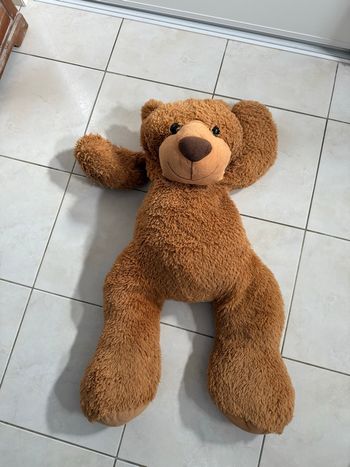 Ours en peluche