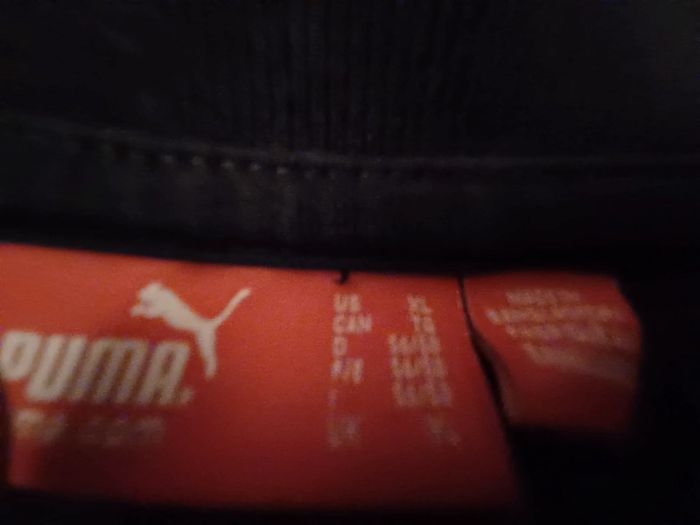 polo puma xl - photo numéro 4