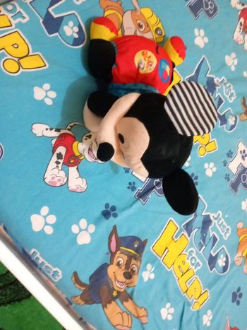 Mickey fonctionne parfaitement