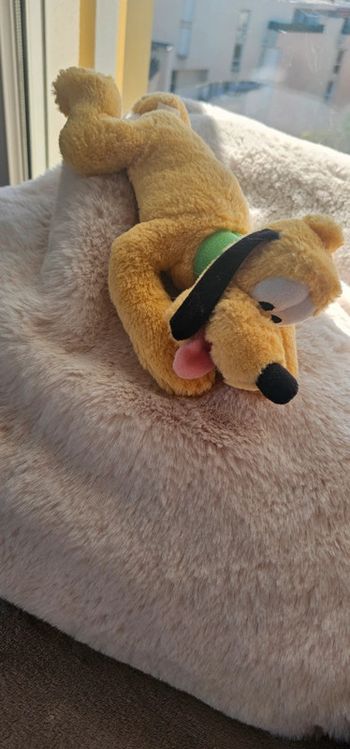 Dingo Disneyland 30 cm