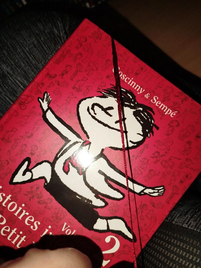 Aventure du Petit Nicolas - photo numéro 5