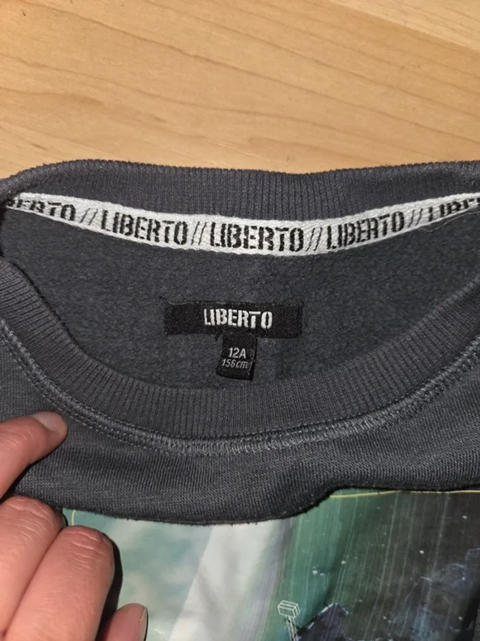 Pull liberto 12ans - photo numéro 3