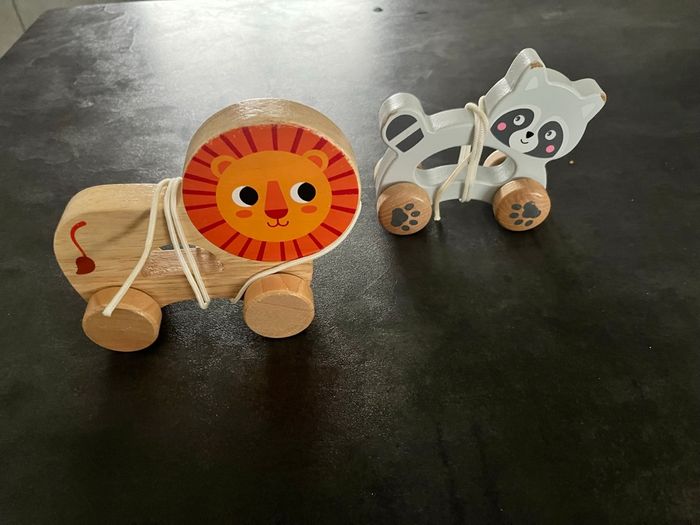 Lion et chat à tirer