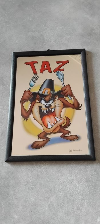Cadres Taz