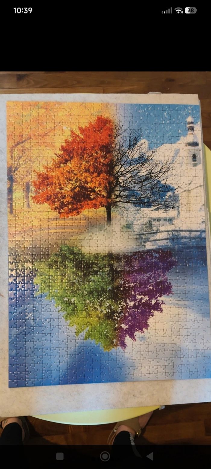 Puzzle 4 saisons - photo numéro 2
