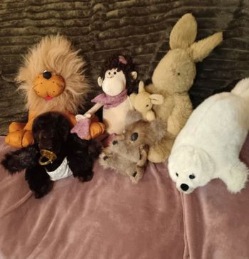 Peluches animaux 