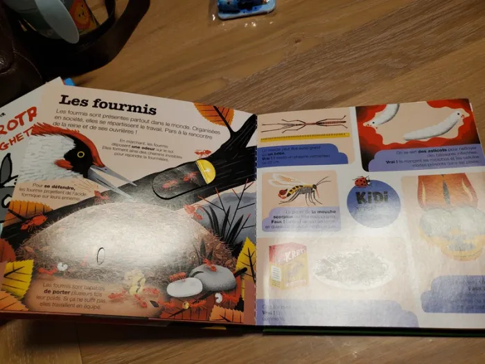 Livre Kididoc les insectes tome 47 - photo numéro 4