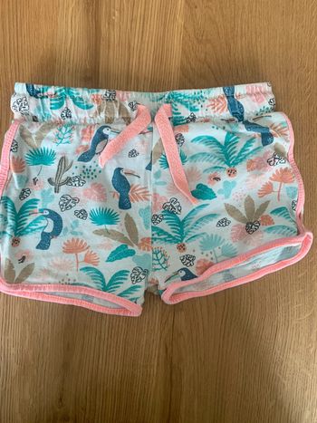 Short perroquet orchestra