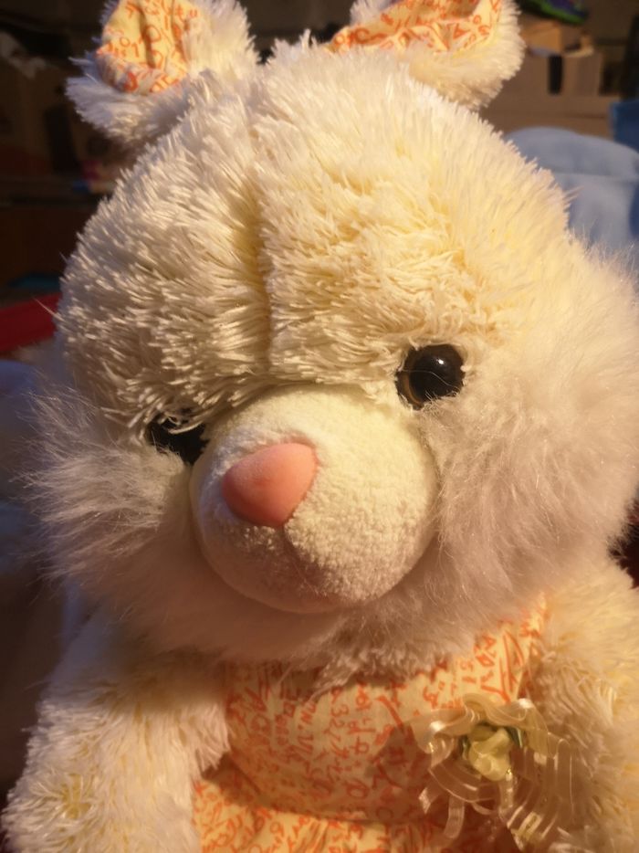 peluche lapin - photo numéro 2