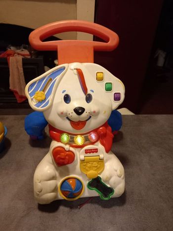 Chien musical apprentissage de la marche