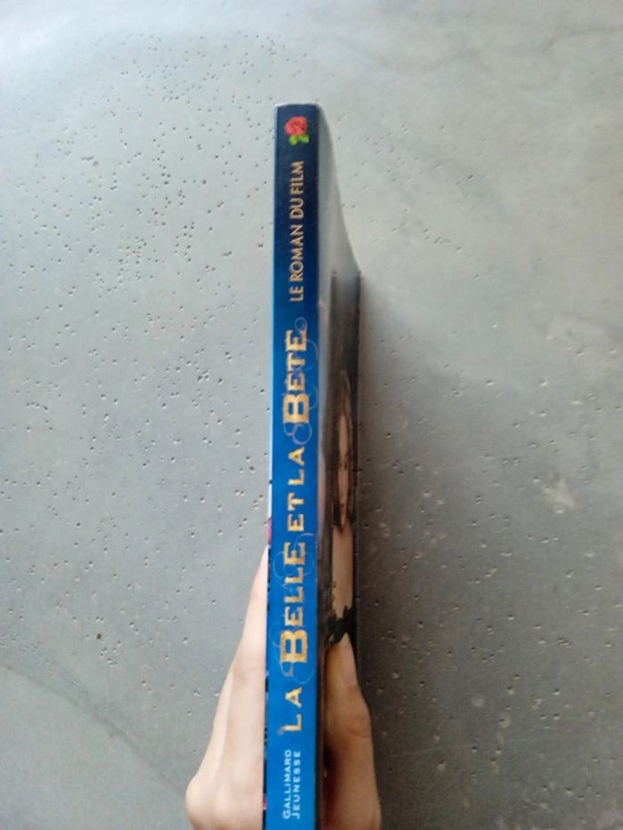 Livre" la belle et la bête" - photo numéro 3