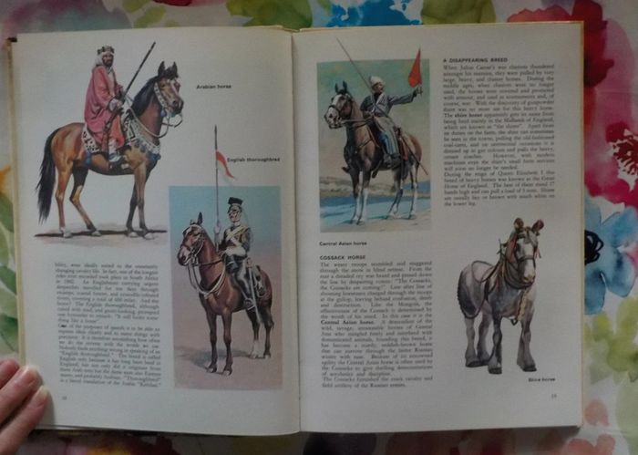 Animal explorers and wanderers Animal world in colour M. Burton - photo numéro 6