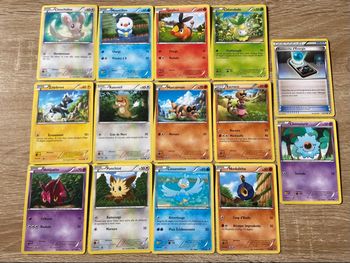 Lot cartes pokemon Noir et Blanc 