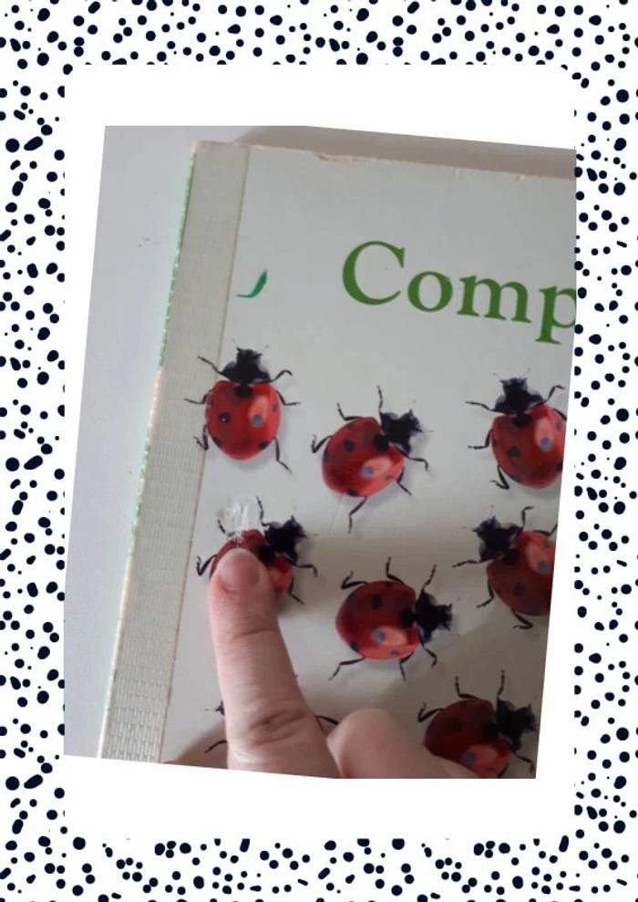 Livres cartonné "compter" 18-36mois - photo numéro 2